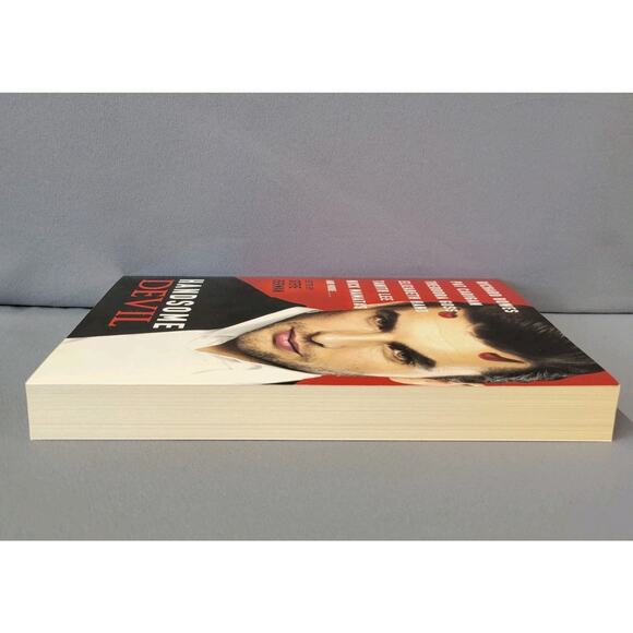 Handsome Devil Stories of Sin & Seduction Book Paperback 2013 - Picture 9 of 14